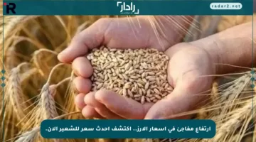 ارتفاع مفاجئ في أسعار الأرز.. اكتشف أحدث سعر للشعير الآن.